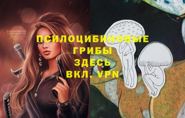 скорость mdpv Няндома