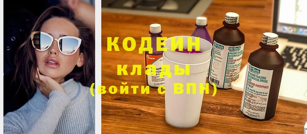 крисы Заполярный
