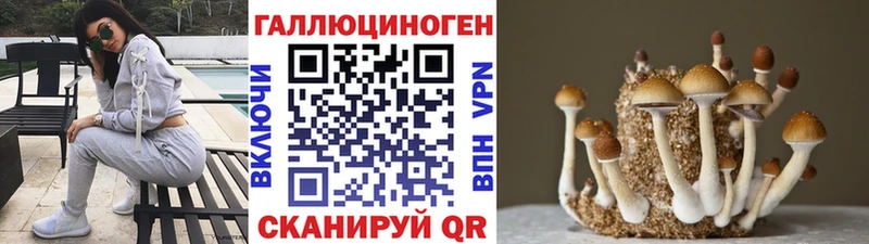 Галлюциногенные грибы Psilocybe  blacksprut как зайти  Ковдор 